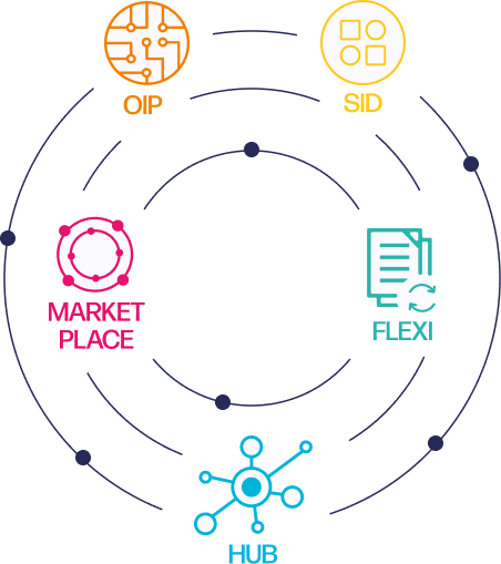 plateforme digitale des experts en assurance et en patrimoine : solutions OIP, SID, HUB, MARKETPLACE et FLEXI.